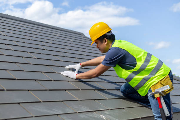 Roof Waterproofing Services in Mount Morris, MI
