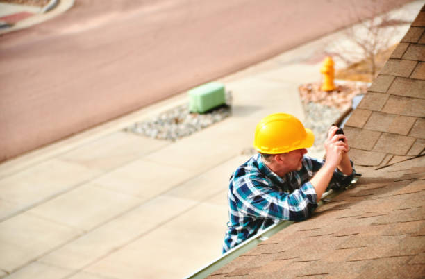 Best Commercial Roofing Services  in Mount Morris, MI