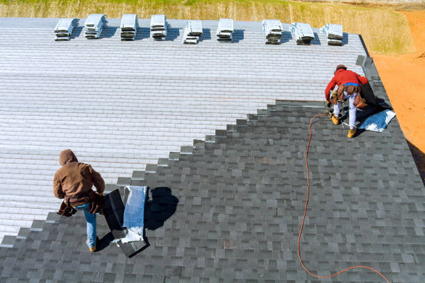 Best Commercial Roofing Services  in Mount Morris, MI