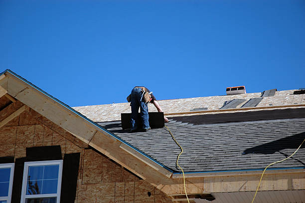 Best Roof Replacement Cost  in Mount Morris, MI