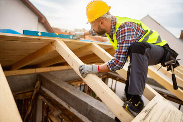 Best Roof Gutter Cleaning  in Mount Morris, MI