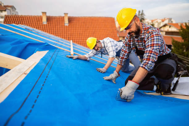 Best Emergency Roof Repair  in Mount Morris, MI