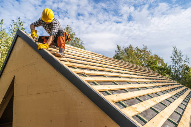 Best Storm Damage Roof Repair  in Mount Morris, MI