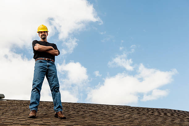 Best Flat Roof Repair Services  in Mount Morris, MI