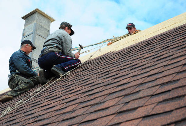 Best Gutter Installation and Roofing  in Mount Morris, MI