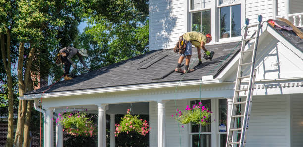 Best Roof Leak Repair  in Mount Morris, MI