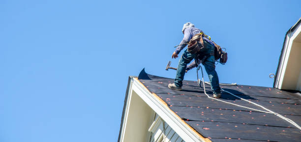 Best Emergency Roof Repair  in Mount Morris, MI